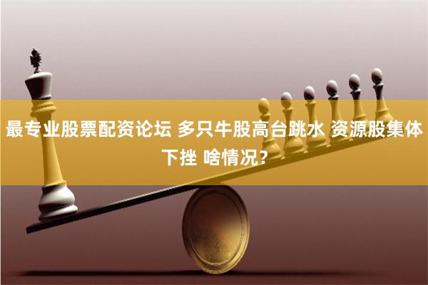 最专业股票配资论坛 多只牛股高台跳水 资源股集体下挫 啥情况？