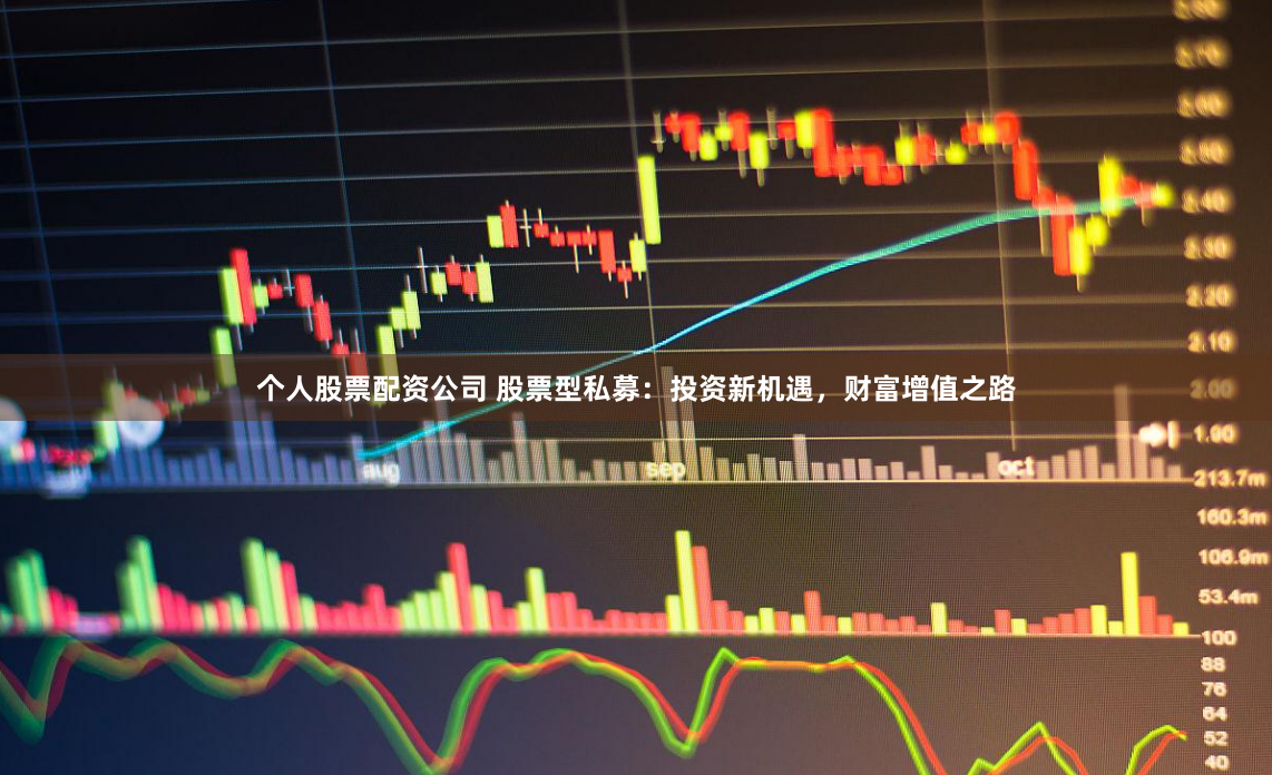 个人股票配资公司 股票型私募：投资新机遇，财富增值之路