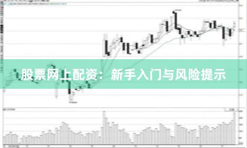股票网上配资：新手入门与风险提示