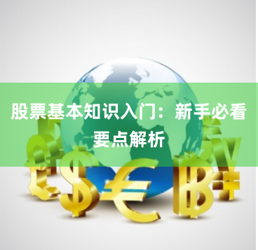 股票基本知识入门：新手必看要点解析